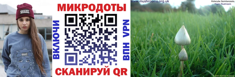 Псилоцибиновые грибы GOLDEN TEACHER  Чулым 